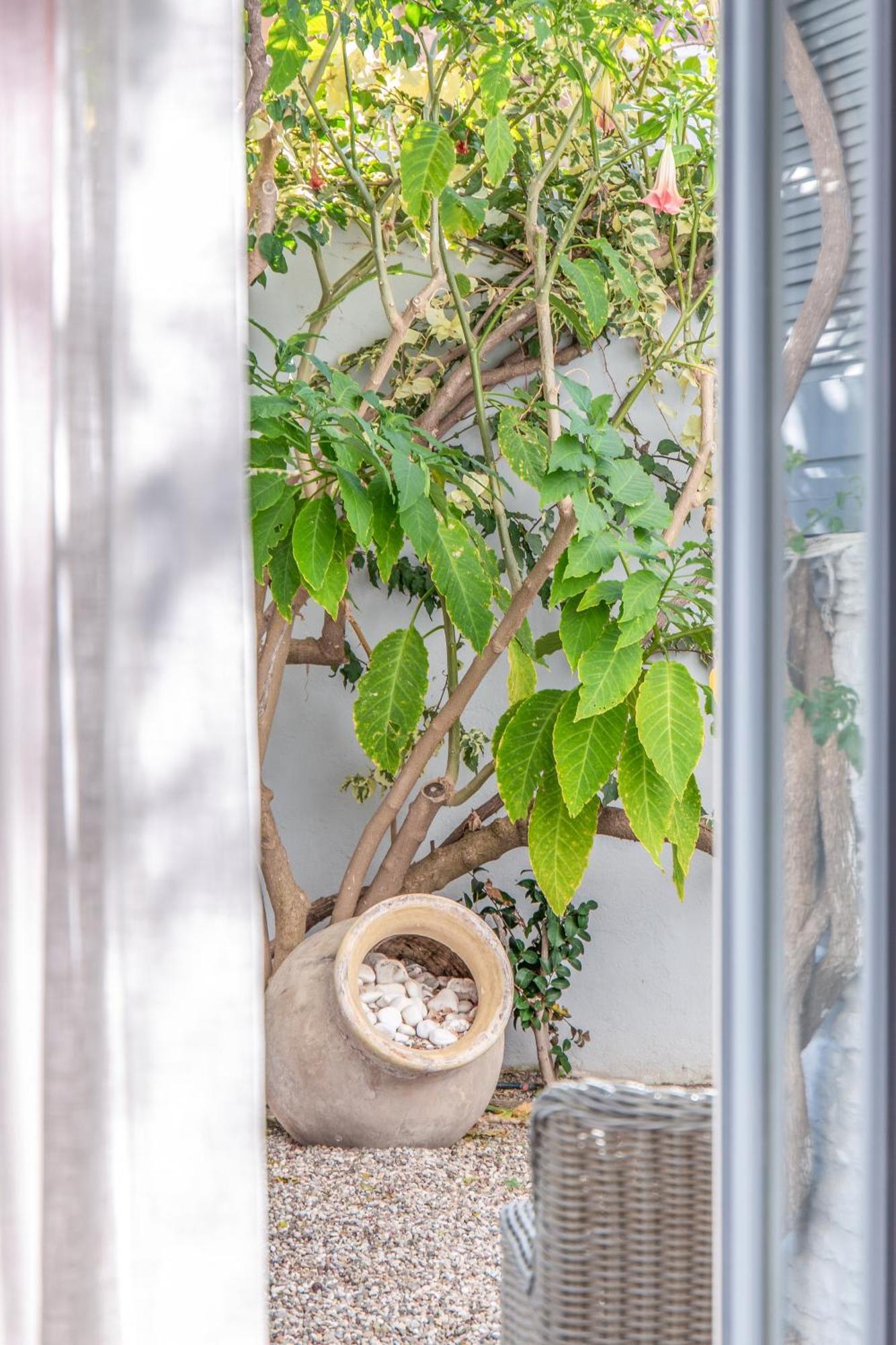 Micra Anglia Boutique Hotel & Spa อานดรอส ภายนอก รูปภาพ